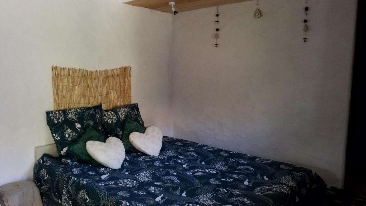 Le Petit Nid Panzió Sablieres Kültér fotó
